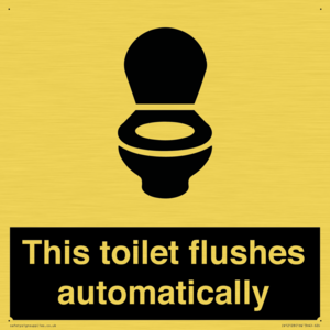 This toilet flushes automatically